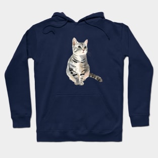 Watercolor Grey Tabby Cat Hoodie